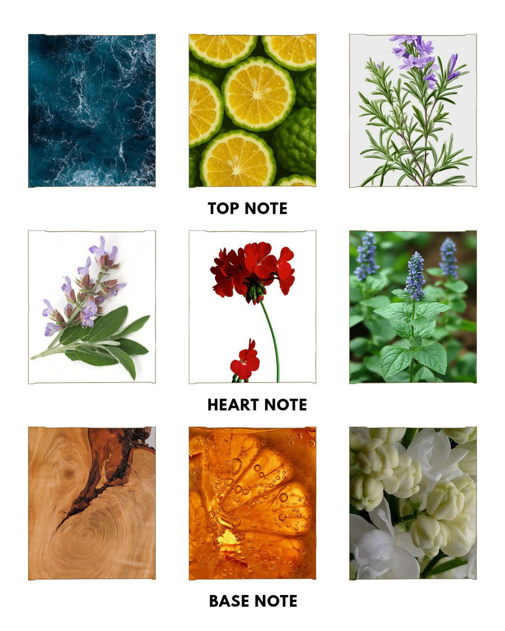 AQUA D GIO 50ML PARFUM