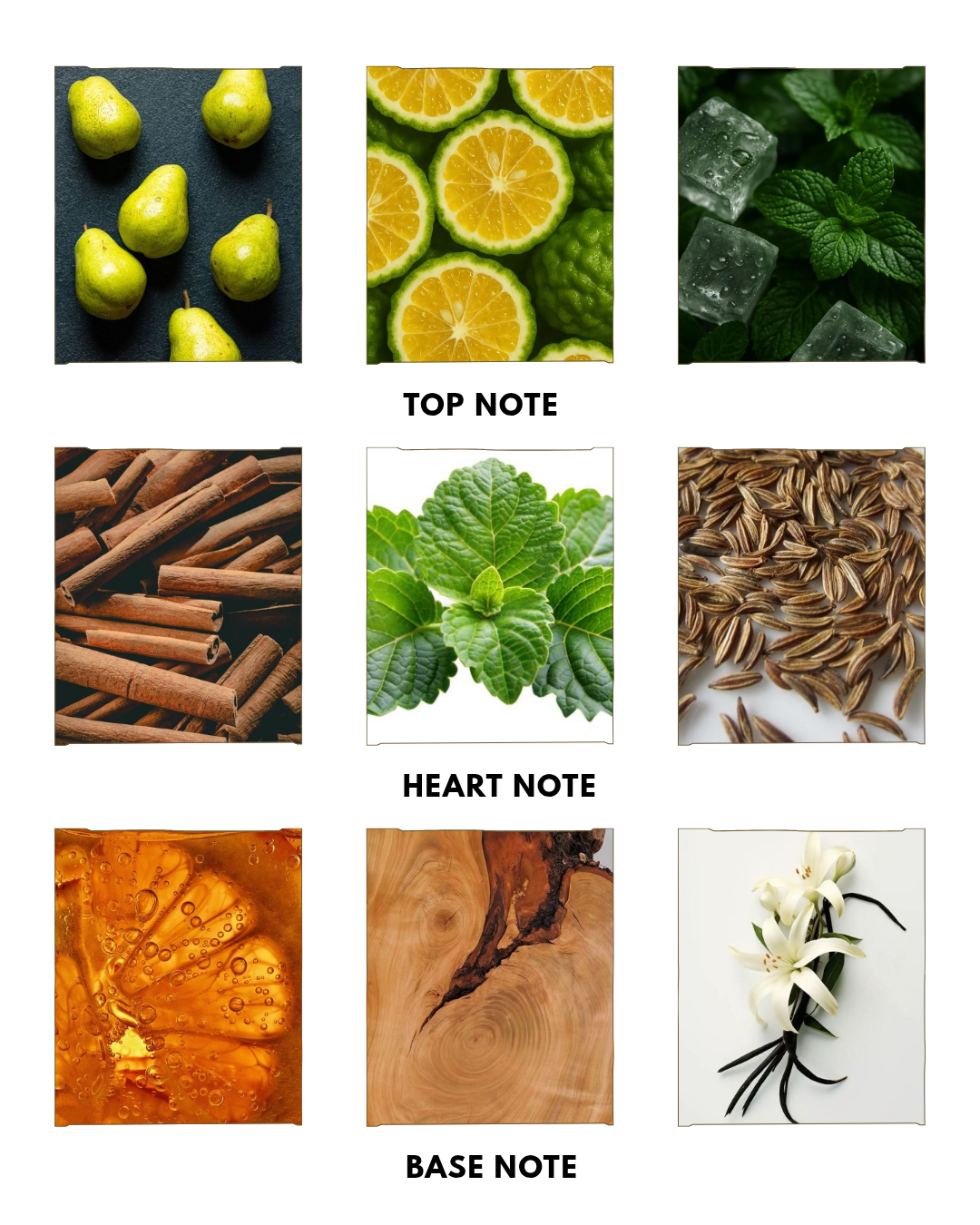 ULTRA MALE 50ML PARFUM